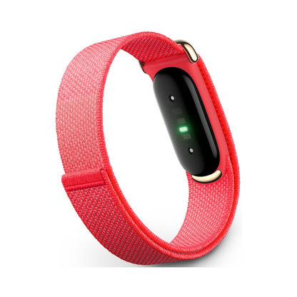 Google Fitbit Air - Berry