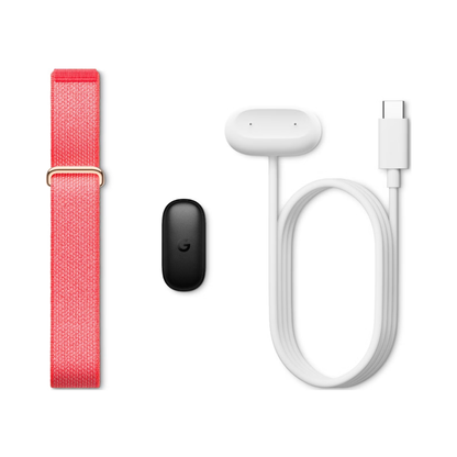 Google Fitbit Air - Berry