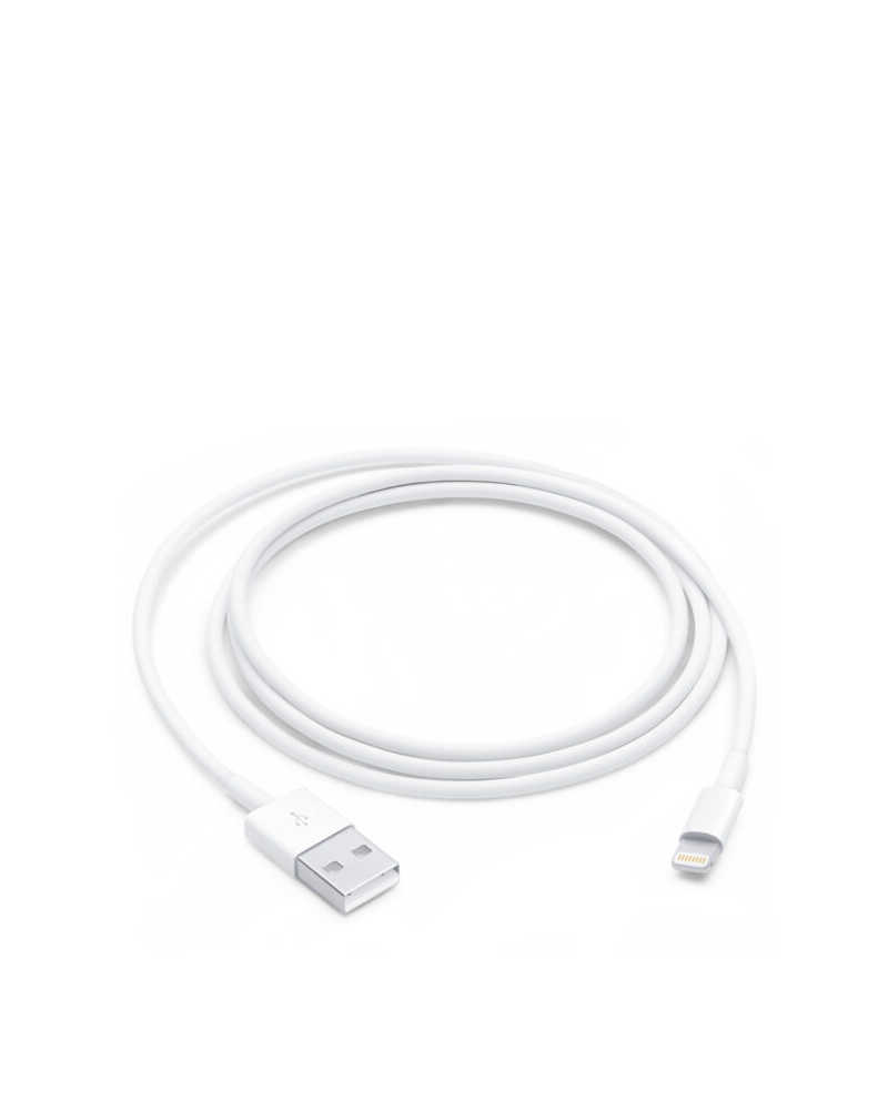 كابل Apple Lightning إلى USB (1 متر)