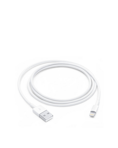 كابل Apple Lightning إلى USB (1 متر)