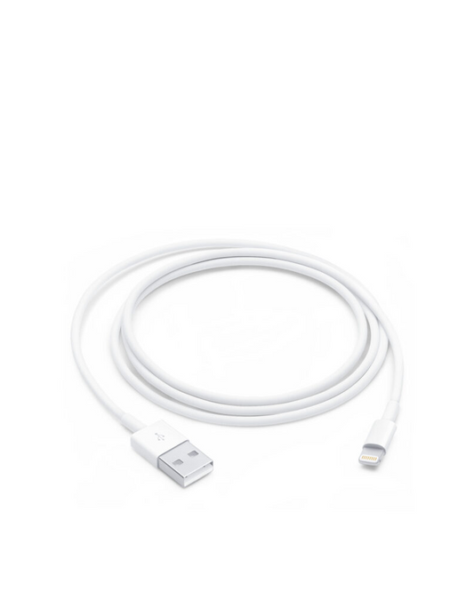 كابل Apple Lightning إلى USB (1 متر)